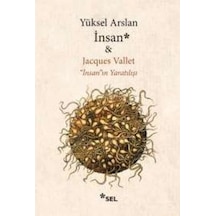 İnsanın Yaratılışı