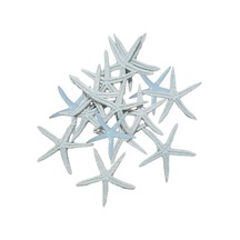Tahtakaletoptanci Polyester Deniz Yıldızı Simli Beyaz 6 Cm (12 Adet)