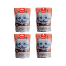 Wanpy Somon Dilimleri Köpek Ödülü 100 Gr X 4