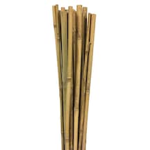 Evgaraj 10 Adet Bambu Bitki Destek Çubuğu 90 cm