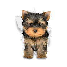 Sevimli Kahverengi Yorkie Araba Sticker Yapıştırma