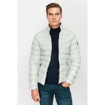 Mint Yeşili