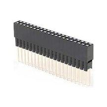 Raspberry 2x20 Ekstra Uzun Header - Çift Sıra Yükseltici Parça 16mm/7.30mm