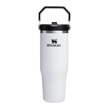 Limestone Klasik Termal Kupa 340ml Vakum Yalıtımlı Paslanmaz Çelik Kamp Kupası Sıcak Ve Soğuk İçecekler İçin 350ml Açık Beyaz