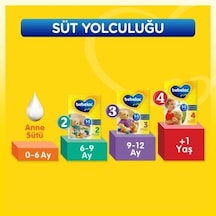 0-6 Ay Bebekler İçin 800 Gr Bebek Sütü Paketi