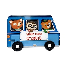 Şehir Turu Otobüsü Tekerlikli Sandalyeler - Wsıj-773057