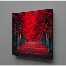 Kırmızı Ağaçlı Yol Kanvas Tablo