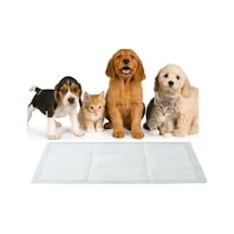 Flexilife Köpek Çiş Pedi 4 x 30'lu 60 x 90 CM