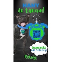 Petjoo 17.Nany Yeşil-Mavi Qr'lı Köpek Künyesi