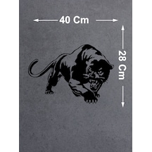 40x28 Cm