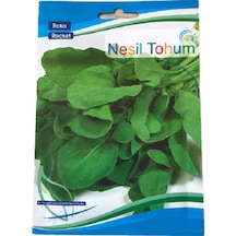 Roka Atalık Tohum 3 Paket