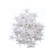 Polyester Deniz Yıldızı Minik Boy 0.5 Cm- 1.5 Cm 100 Adet Beyaz