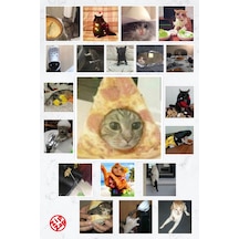Komik Kedi Sticker Paketi 20 Adet Çok Renkli