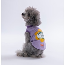 Lilac-lila Small Things Tişört Kedi Köpek Tişörtü-kedi Köpek Kıyafeti