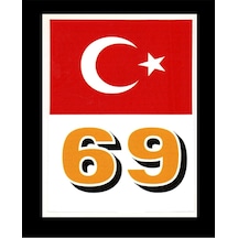 Türkiye Bayraklı Bayburt 69 Plaka Kodu Ön Cam Sticker