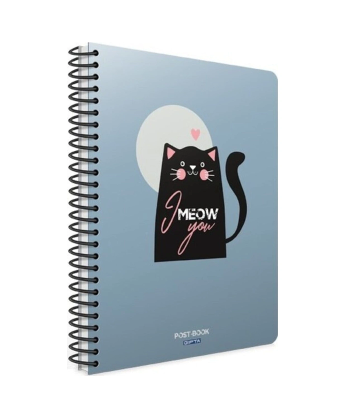 Mavi Post-book Spiralli Karton Kapak Kareli Defter 17x24 80yp Kedli