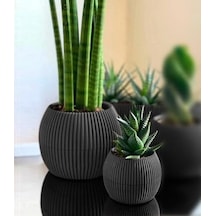 Mercan Yuvarlak Saksı Seti 0,35 Litre + 1,2 Litre, İç Mekan - Dış Mekan 2li Ekonomik Tabaklı Plastik Saksı Set Antrasit Renk