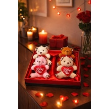 Sevgililer Günü Hediye Kutusu 4 Adet I Love You Temalı Peluş Ayıcıklı Romantik Hediye Seti Kutusu Çok Renkli