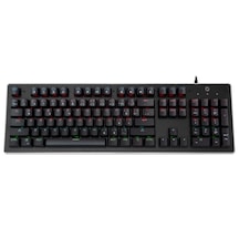 Gameforce Raider Blue Switch Rainbow Mekanik Oyuncu Klavye