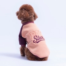 Somon Boston Pawstar Sweat Köpek Sweatshirt Köpek Sweat Köpek Kıyafeti Kedi Kıyafeti