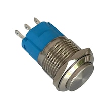 D21 16mm Metal Mavi Halka Ledli Kalıcı Buton 24v