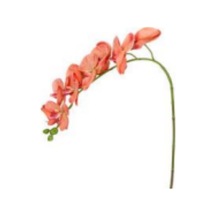 Yapay Çiçek Orkide Gerçek Dokulu Somon 95 Cm. Çok Renkli