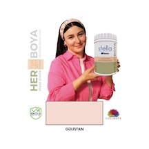 Stella Serisi Yeni Nesil Yüzey Dönüşüm Boyası - Gülistan Diğer