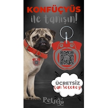 Petjoo 9.Konfüçyüs Gri-Kırmızı Qr'lı Köpek Künyesi