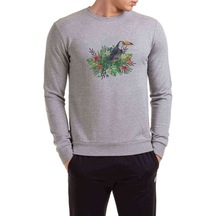 Sulu Boya American Papağanı Baskılı Gri Erkek Örme Sweatshirt