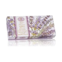 Saponificio Artigianale Fiorentino Sıvı Sabun 500 Ml - Musk And