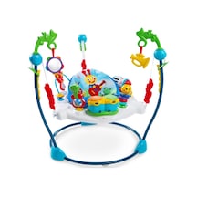 Baby Einstein Neighborhood Symphony Aktivite Bebek Zıplama Merkezi
