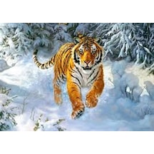 Castorland 500 Parça Sibirya İmparatoru Puzzle