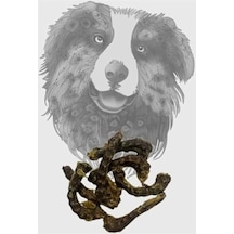 100 Gr Kurutulmuş Tavuk Boyun, Köpek Ödülü