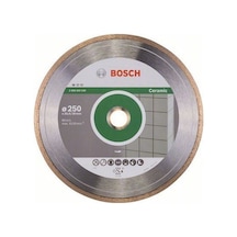 Bosch Standard For Ceramic 250 MM Elmas Kesme Disk