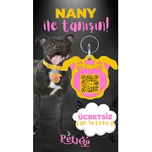 Petjoo 17.Nany Pembe-Sarı Qr'lı Köpek Künyesi