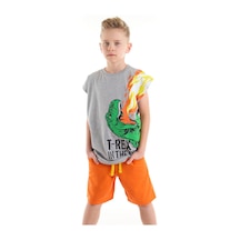 Denokids Mshb&g T-Rex Alev Erkek Çocuk T-Shirt Şort Takım Çok Renkli