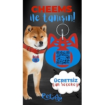 Petjoo 18.Cheems Mavi-Kırmızı Qr'lı Köpek Künyesi