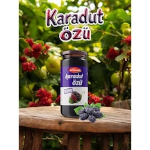 Özseven Karadut Özü 300gr