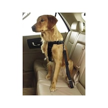 Evcil Hayvan Araç Emniyet Kemeri Kedi Köpek Araba Oto Tasması Oto Aksesuarları Mavi