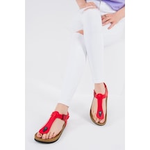 Fox Shoes Kırmızı Kadın Sandalet B777805009