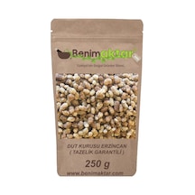 BenimAktar Dut Kurusu Malatya 250 G