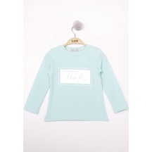 Mint Yeşili