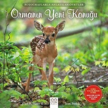 Ormanın Yeni Konuğu - Carl R. Sams - 1001 Çiçek