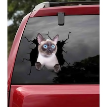 Siyam Kedisi Araba Sticker Yapıştırması 17Cm