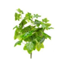Yapay Bitki Hedera Yeşil 50 Cm Çok Renkli