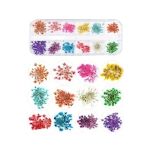 Pinpai Nail Art Kurutulmuş Çiçek Ng-155 1424 Diğer