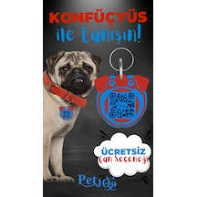 Petjoo 9.Konfüçyüs Mavi-Kırmızı Qr'lı Köpek Künyesi