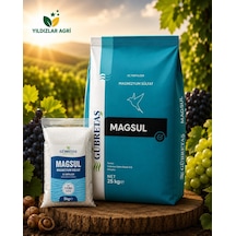 Magsul Magnezyum Sülfat 5kg 5 KG