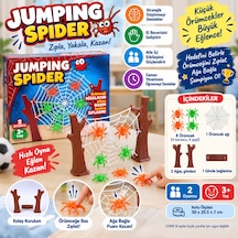 35004 Jumping Spıder