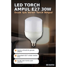 Led Torch Ampul 30w E27 Duy 3200k Gün Işığı 2930 Lümen Güçlü İç Mekan Aydınlatma Bx-316724 Standart